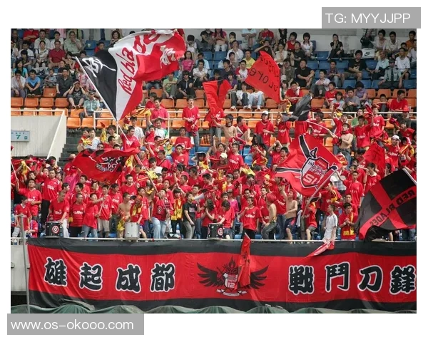 成都排球队速度之争引发热议球迷观点各异分析背后的战术与技术因素