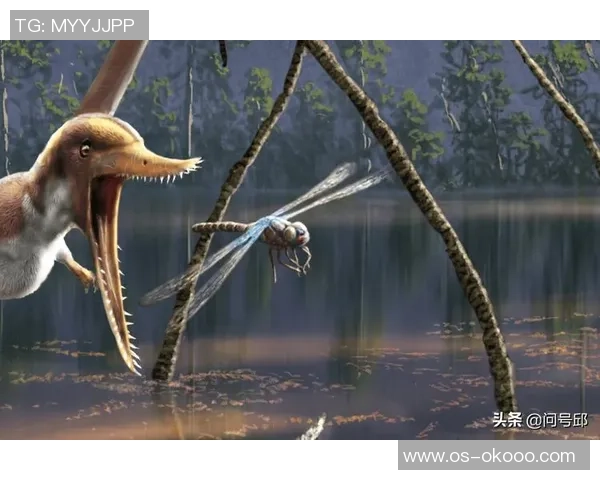 斯通斯的传奇之旅探索音乐与文化交融的无限可能